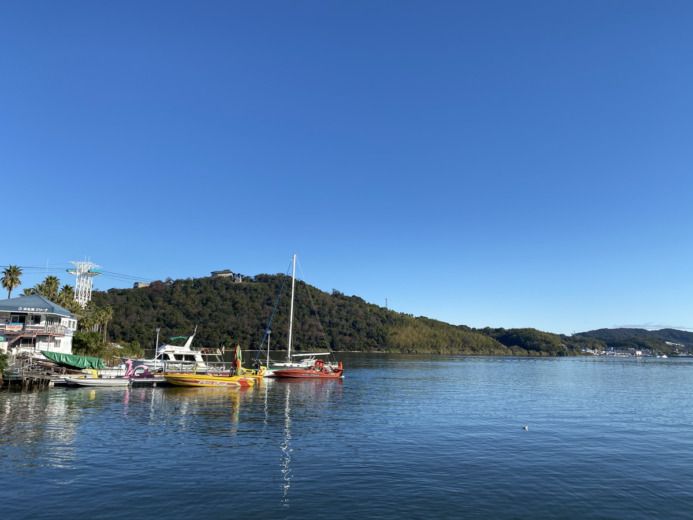 IMG_2123.png IMG 2123