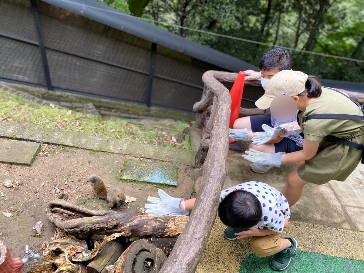 IMG_5279.PNG IMG 5279