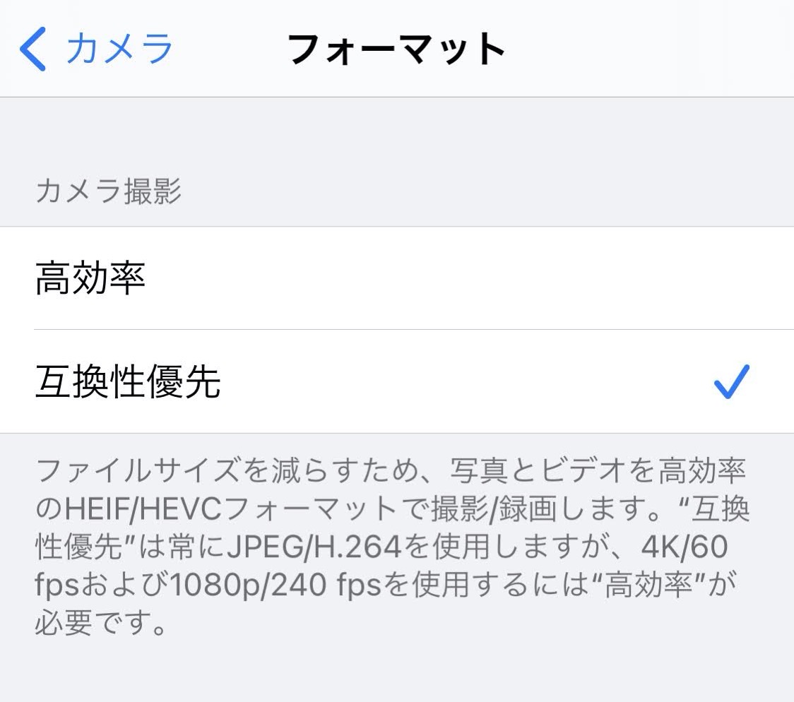 IMG_5304.jpg IMG 5304