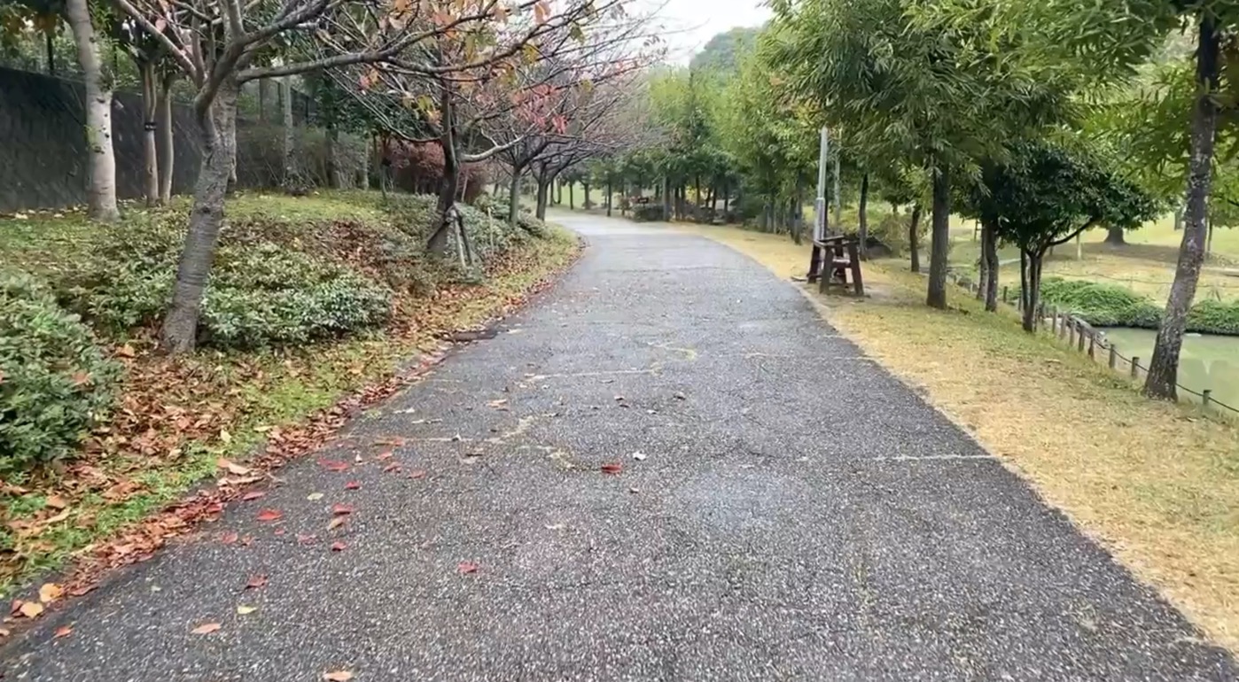 GOforIT.jpg GOforIT