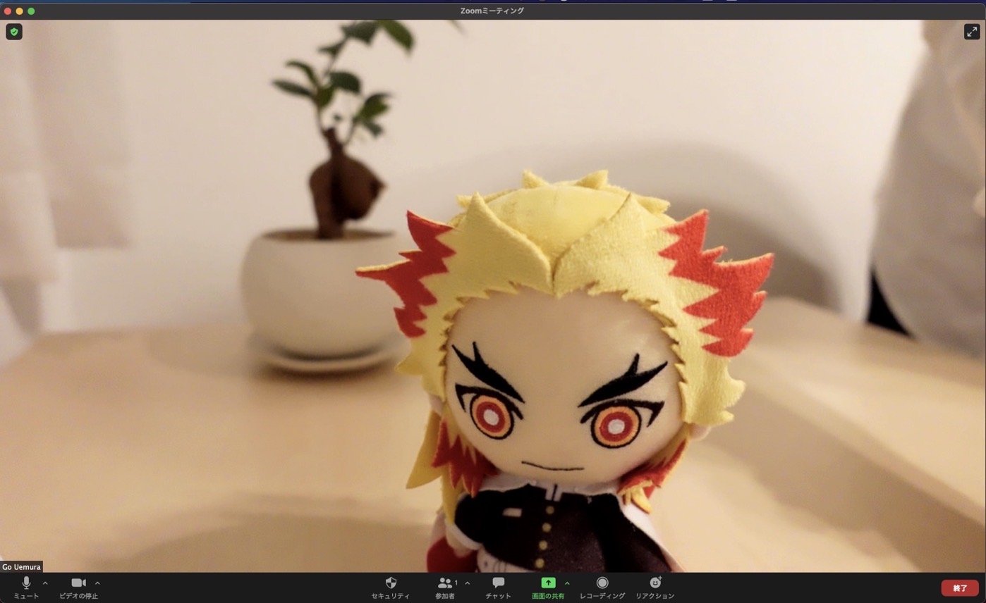 GOforIT 2.jpg GOforIT 2