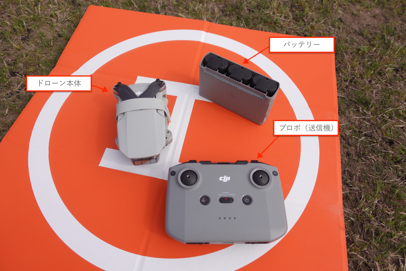 DSC02855のコピー.png DSC02855のコピー
