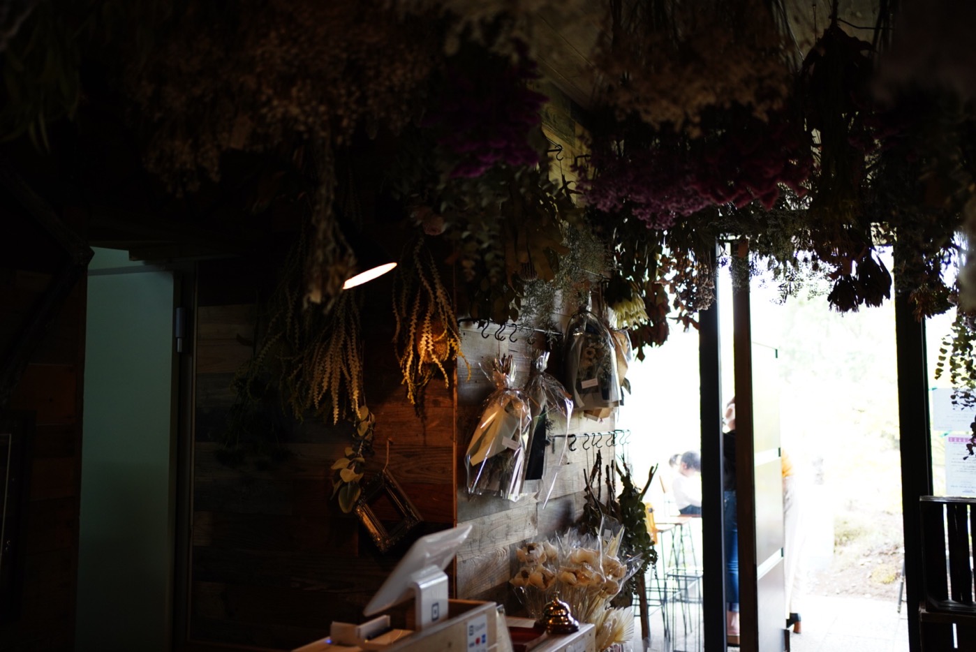 DSC00584.JPG DSC00584