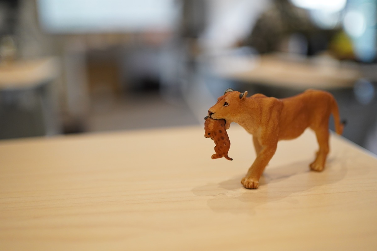 DSC02687.JPG DSC02687