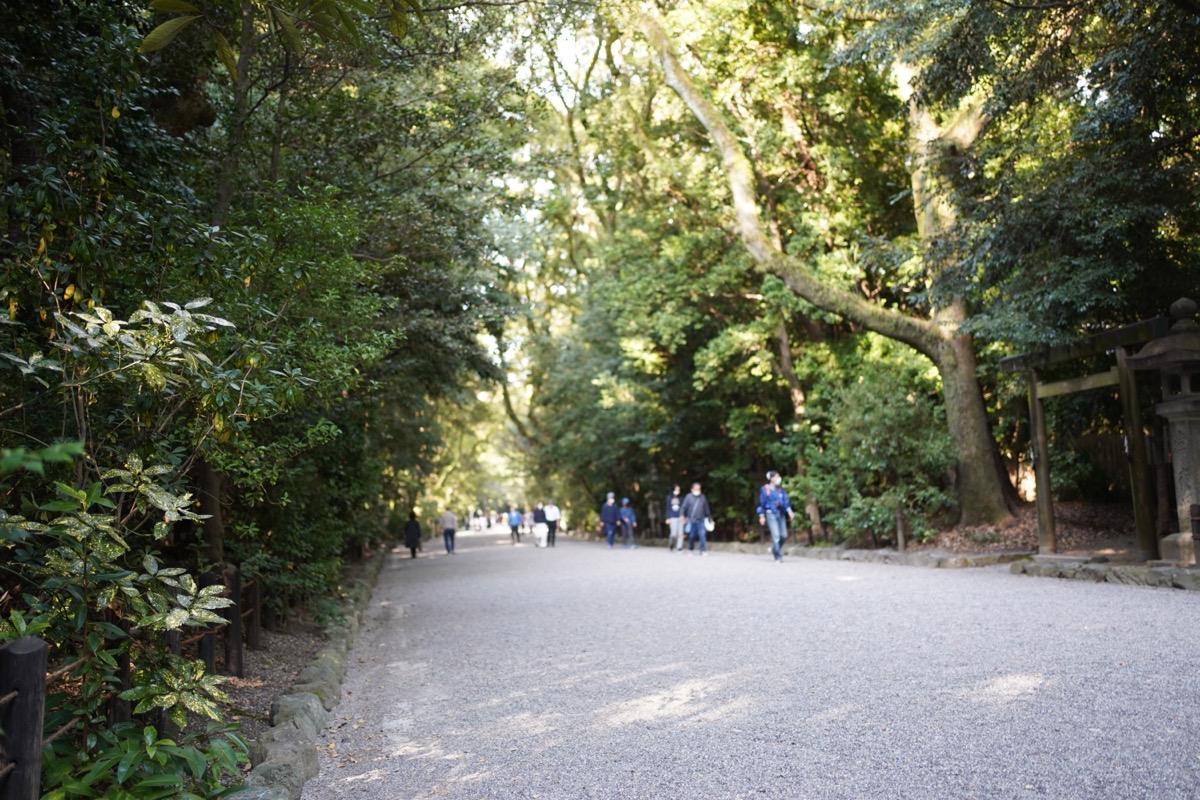 DSC02698.JPG DSC02698