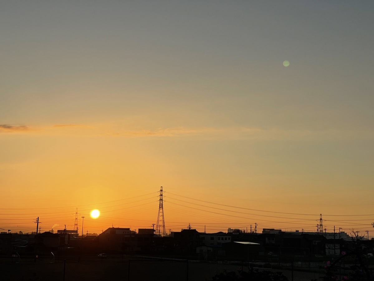 IMG_9506.JPG IMG 9506