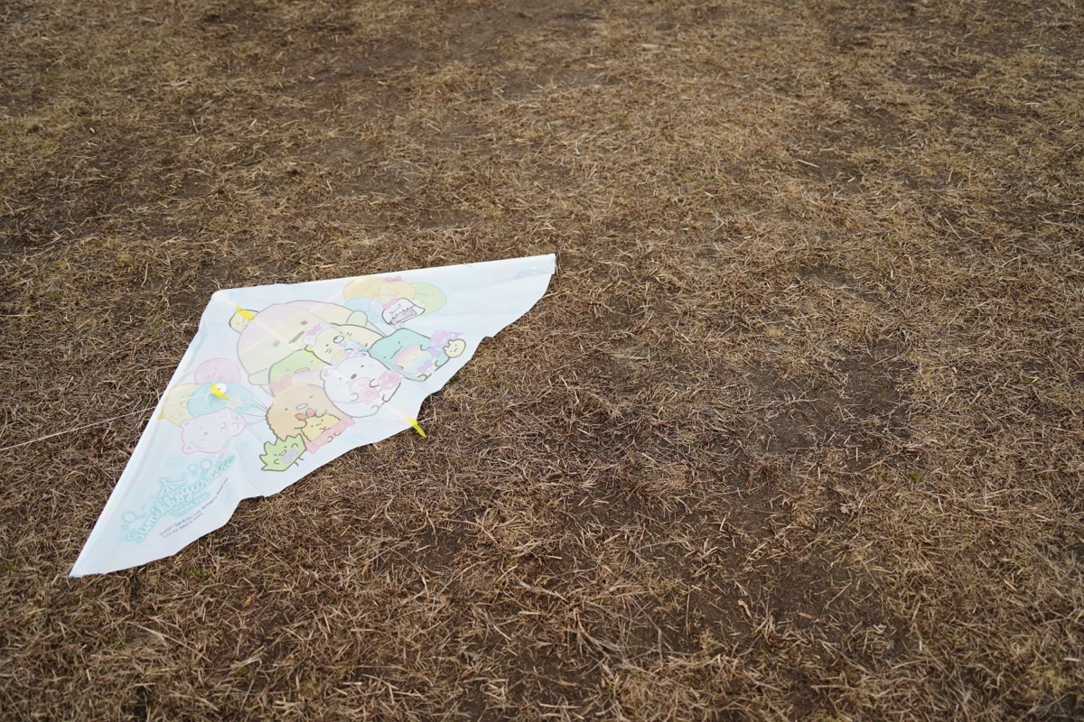 DSC04060.JPG DSC04060