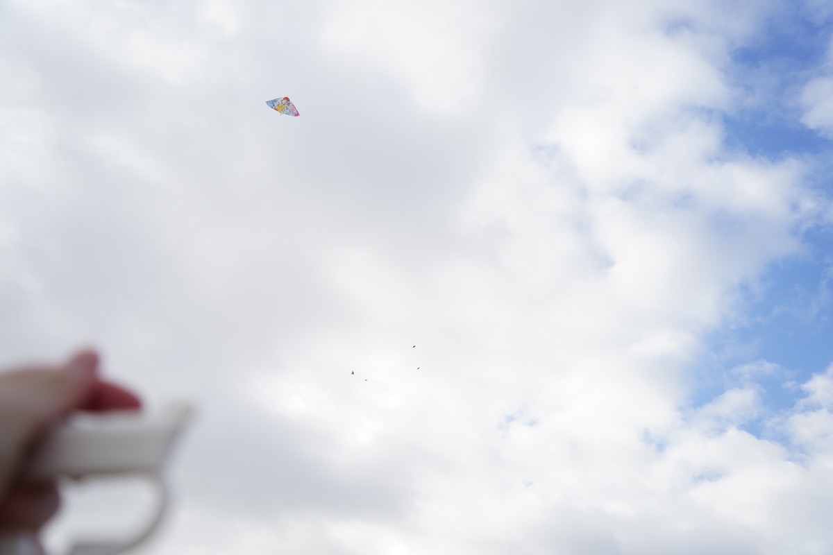 DSC04064.JPG DSC04064