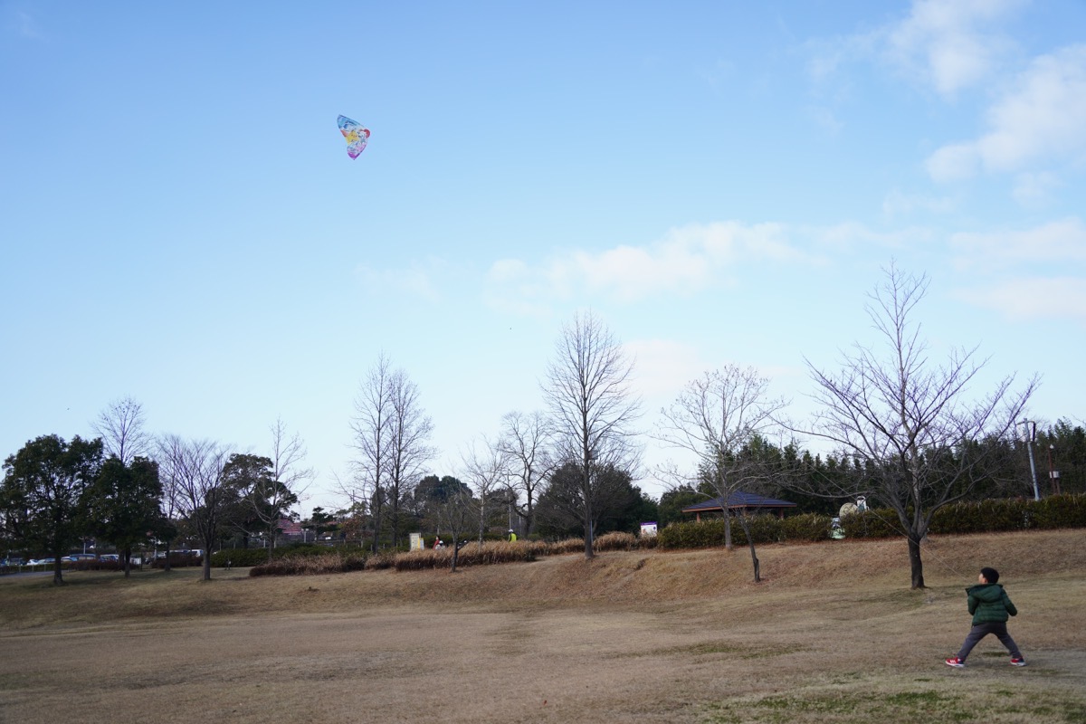 DSC04070.JPG DSC04070