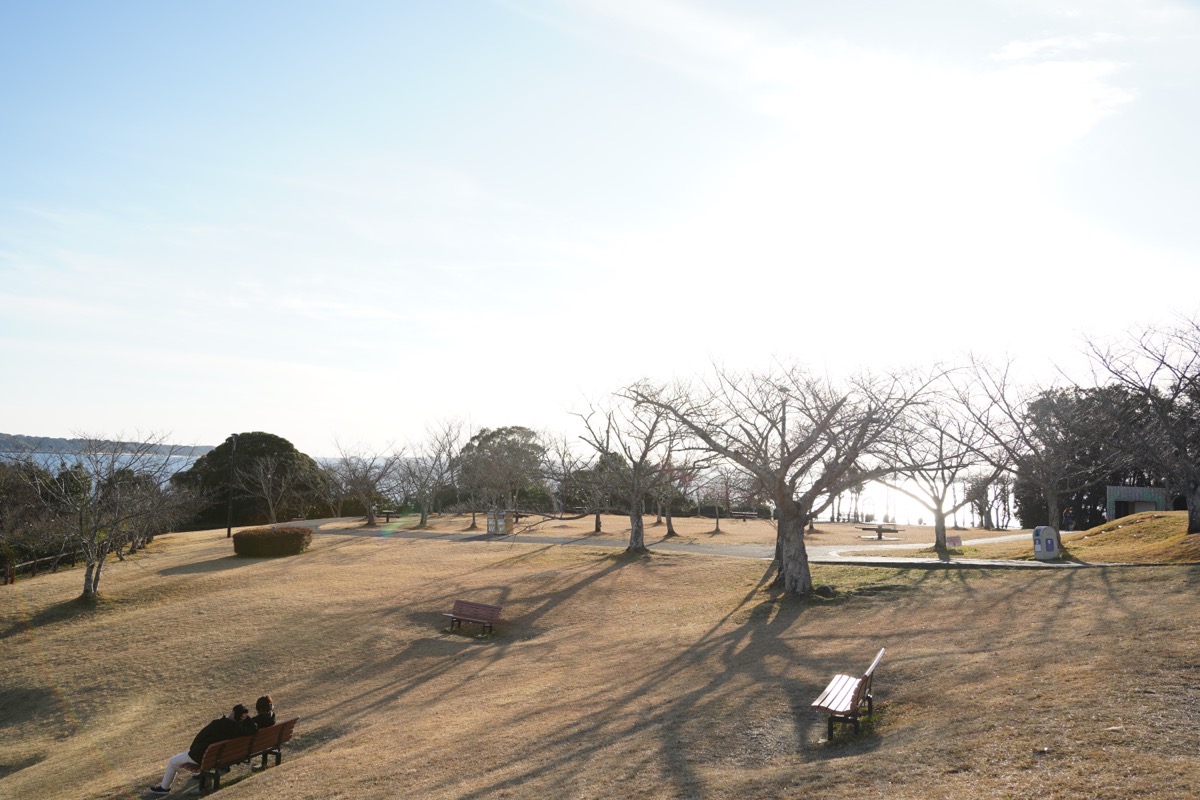 DSC04487.JPG DSC04487
