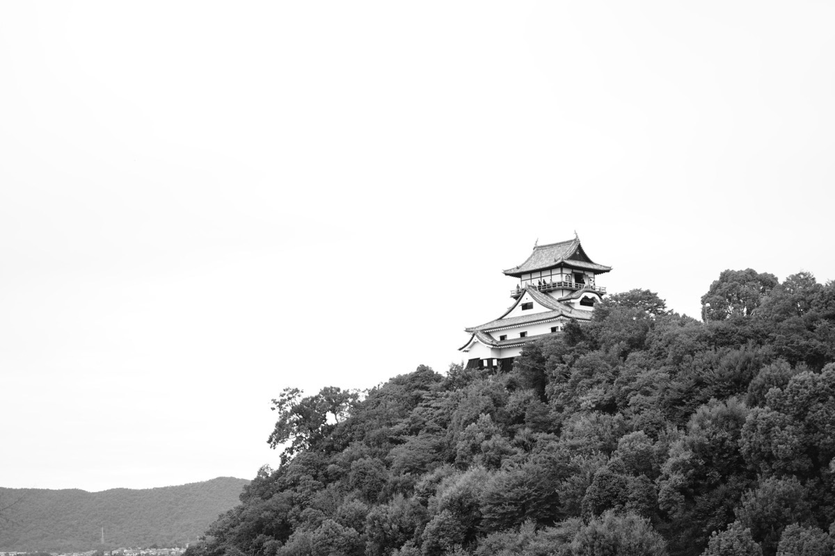 DSC07819.jpg DSC07819