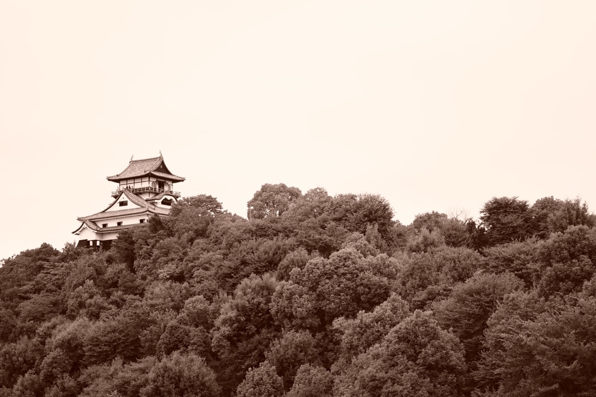 DSC07820.jpg DSC07820
