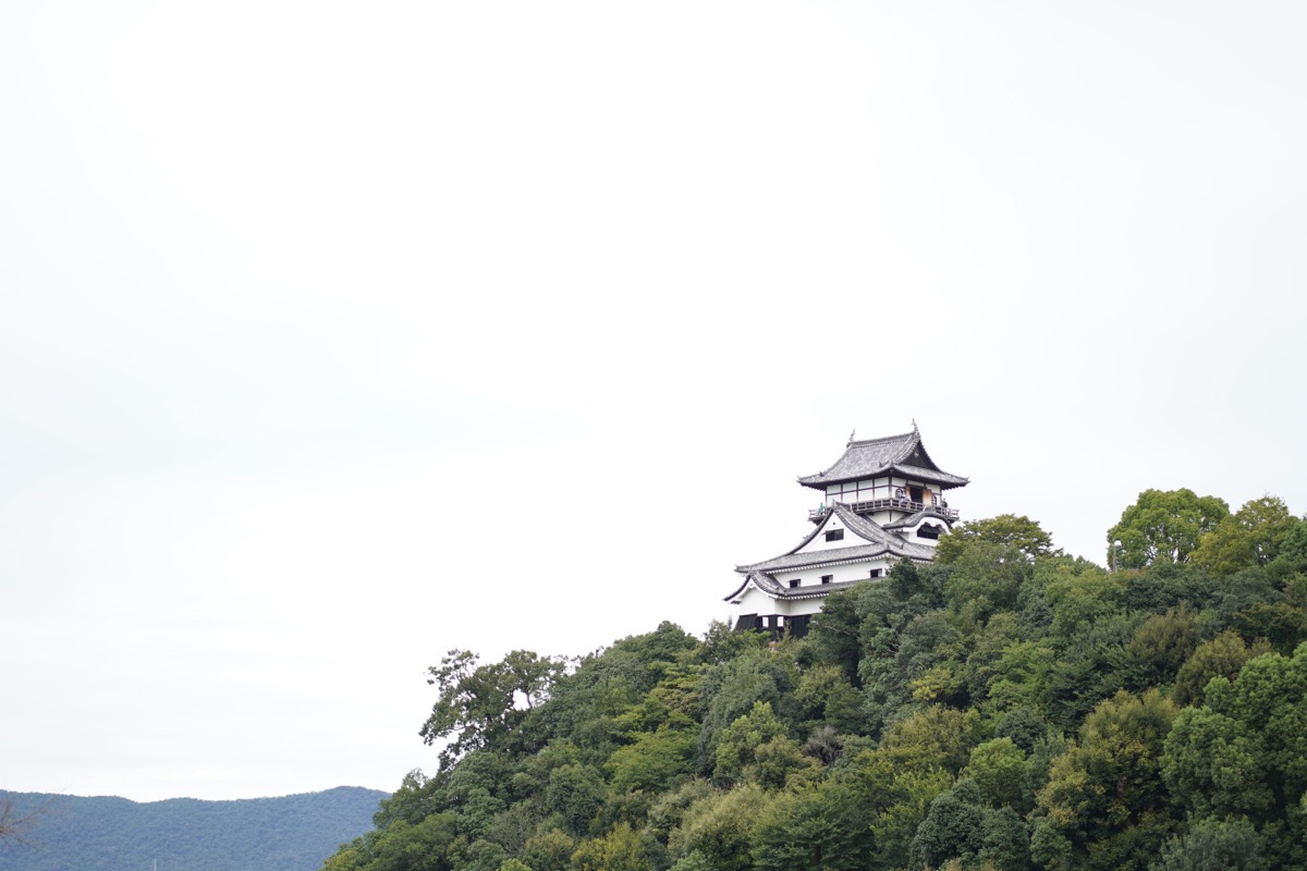 DSC07821.jpg DSC07821