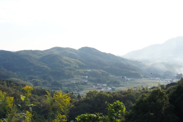 DSC08580.jpg DSC08580