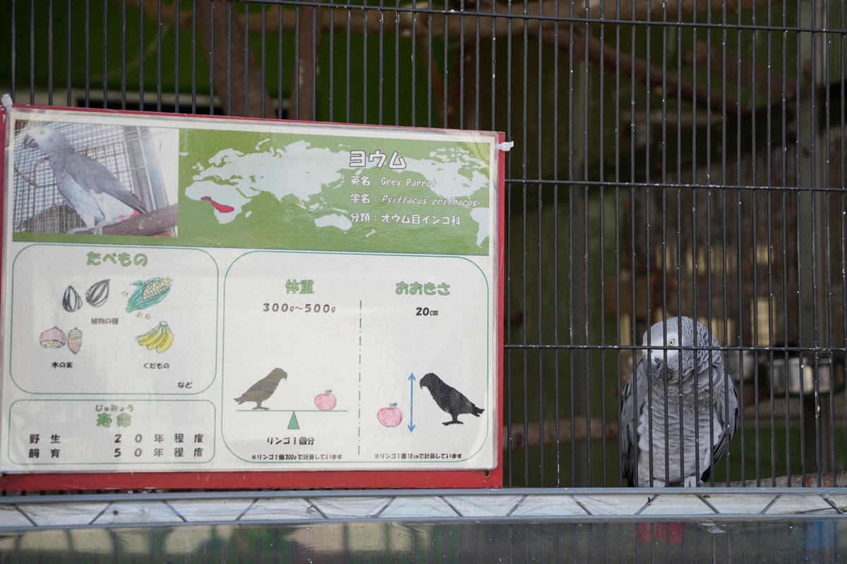 _DSC0413.jpg DSC0413