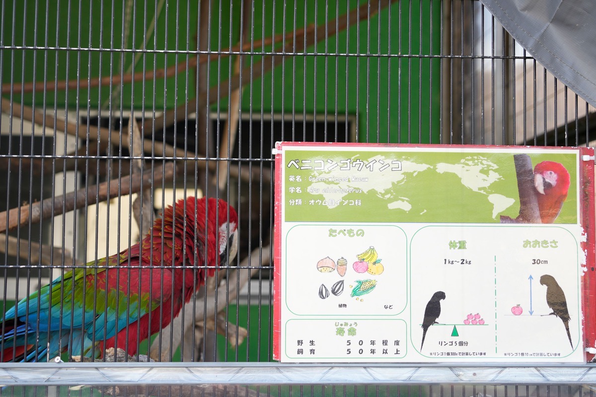 _DSC0416.jpg DSC0416