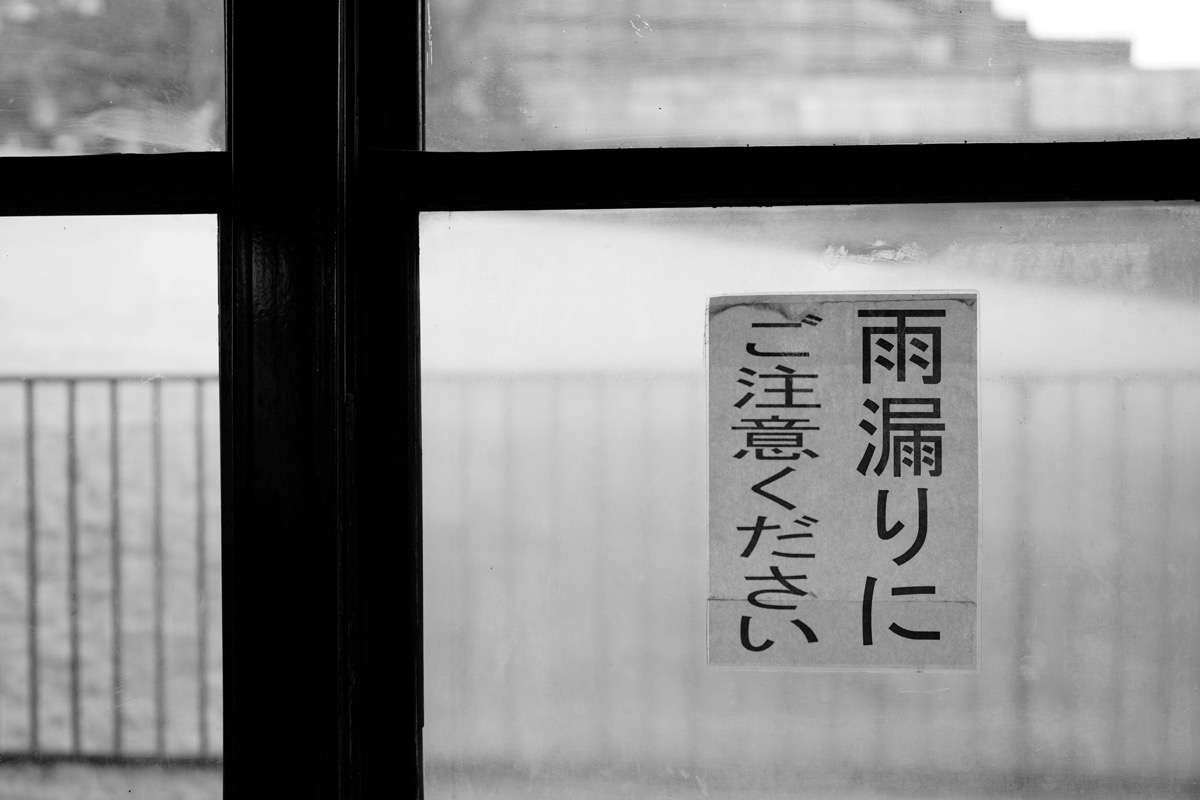 _DSC0446.jpg DSC0446