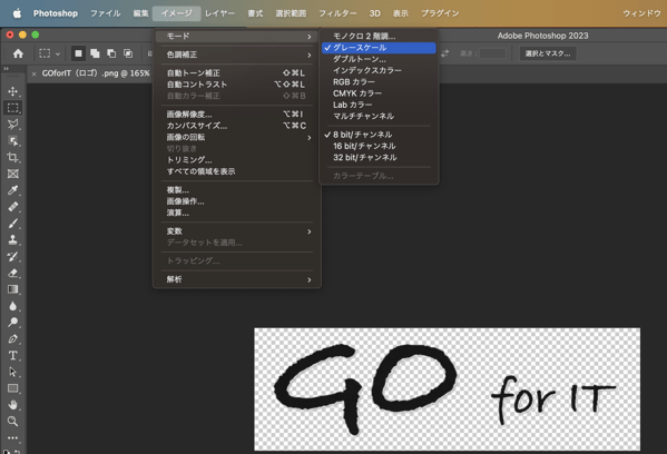 GOforIT 12.png GOforIT 12