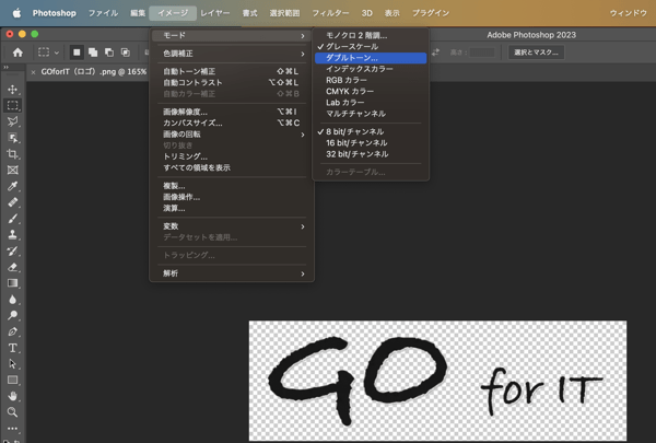 GOforIT 13.png GOforIT 13