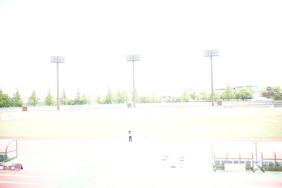 _DSC3729.png DSC3729